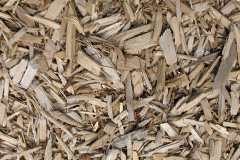 biomass boilers Gwills